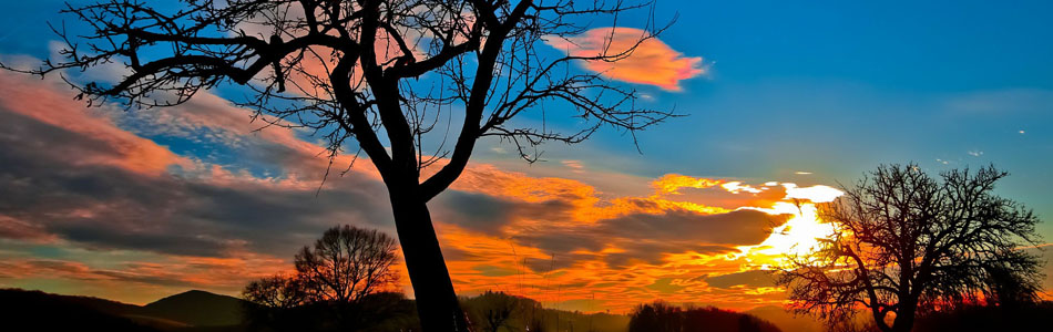 免费ddos在线攻击