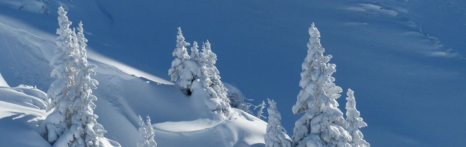 手机攻击器APP下载